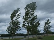 В Киеве ожидаются сильные порывы ветра