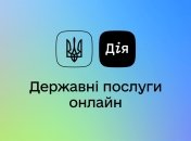 Мобильное приложение принесло убытки госбюджету