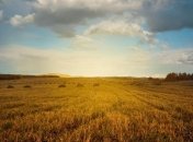 Приметы и обряды на 4 октября - День Кондрата