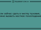 Украсим ваше утро веселыми анекдотами