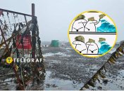 Після землетрусу здійнялися величезні хвилі