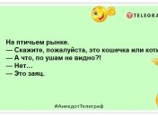 Утром - завтрак. Днем - обед. Вечером - ужин. Ночью - дозаправка! Подборка позитивных анекдотов на вечер