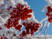 Погода в Украине 28 ноября: местами дожди с мокрым снегом 