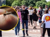 Что делает человека легкой добычей для насекомых