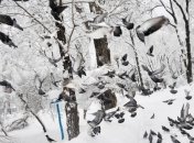 Завтра в Украине будет холодно