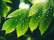 Готовимся к майским дождям