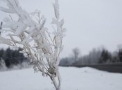 Тысячи канадцев встретили Рождество без света и тепла 