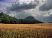 Прогноз погоды на 12 июля: на севере и в центре пройдут дожди