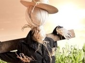 Как сберечь урожай?