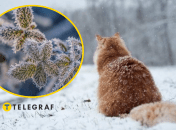 Погода в Украине