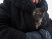 В Минске живьем замуровывают котов в подвалах