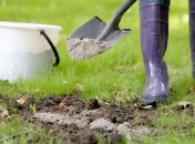 Деревна зола не любить дощ