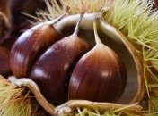 Ученые назвали полезные свойства каштанов