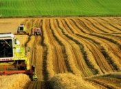 Україна зберегла 4-ту позицію найбільшого агроекспортера до ЄС