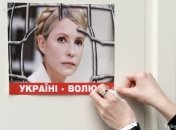 Лишив Тимошенко свободы, власть руководствовалась не законами