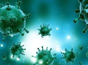 Изменения климата способствуют активному развитию новых вирусов