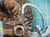 Нет воды в кране