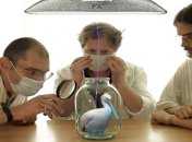 Вилли Мельников презентует фильм "Птицы"