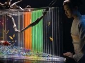 Аквариумные рыбки положительно влияют на людей