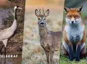 Иллюстративное фото