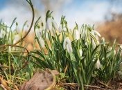 Прогреет до +18°: в Украину придет долгожданное потепление