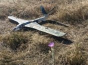 Backfire може нести дві бомби