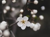 Какой праздник 12 марта: народные приметы и запреты