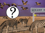 Асканія-Нова