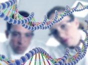 Ученые обнаружили связь генома с выбором политических убеждений