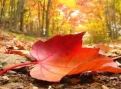 Погода в Україні на поточний тиждень