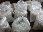 В аэропорту Запорожья обнаружили 45 кг серебра