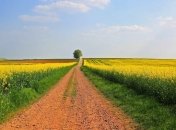 В Раде обновился законопроект о рынке земли: детали