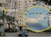 Загадочная птица под крышей дома разделила мнения украинцев