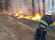 Пожары в Чернобыле: в ГАЗО предупреждают о критической ситуации (Фото)