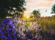 В Украине есть территории, на которых часто происходит что-то необычное