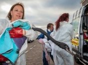 Авария танкера в Нидерландах: пострадали сотни птиц 