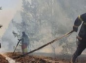 Спасатели продолжают тушить торфяники под Чернобылем и на Житомирщине