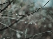 Прогноз погоды в Украине на сегодня: пасмурно, местами осадки