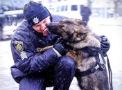 Полиция переведена в усиленный режим