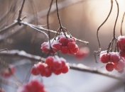 Какой праздник 8 ноября 2019 года: народные приметы