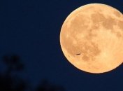 Ученые из Франции опровергли гипотезу происхождения Луны