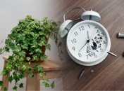 Выбросив эти вещи, ваше жилье очиститься от негатива