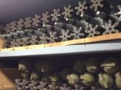 Правоохранители рассказали, что хранилось в бункере под Киевом