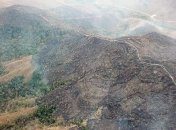 Если бы лес Амазонии сгорел полностью: пугающие факты будущего