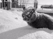 Синоптик рассказала о погоде в Украине в начале весны