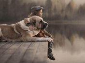 Все индивидуально: какой питомец подойдет вам и вашему дому (Фото)