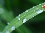 Август встречает холодно и дождливо: прогноз погоды на начало месяца