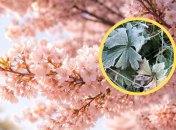 Ждите заморозки