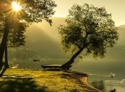 Погода на сьогодні: без опадів, температура до +34°