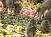 Фрукты во время диеты разжигают аппетит